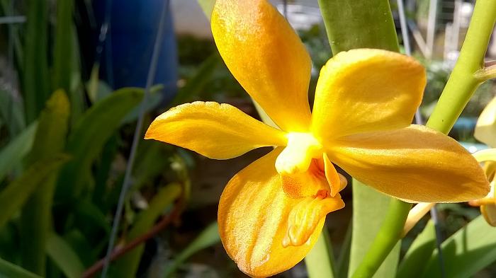 Click vào ảnh để xem ảnh lớn hơn. 

Name:	WP_20151016_08_33_32_Pro.jpg 
Views:	0 
Size:	342.3 KB 
ID:	12683