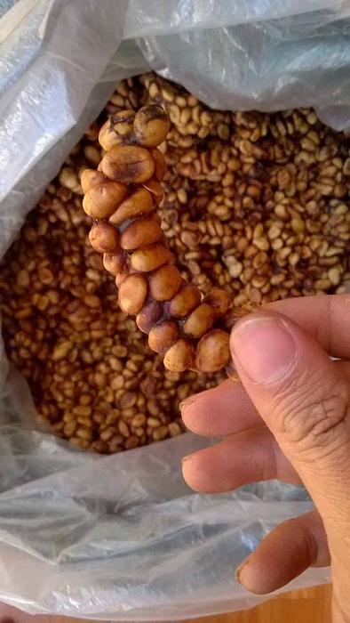 Click vào ảnh để xem ảnh lớn hơn.&nbsp;

Name:	18118492_10208753656655092_1777529292244730096_n.jpg&nbsp;
Views:	2&nbsp;
Size:	60.1 KB&nbsp;
ID:	36710