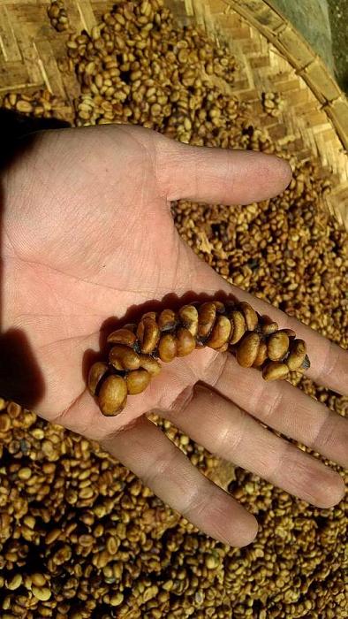 Click vào ảnh để xem ảnh lớn hơn.&nbsp;

Name:	18157175_10208753656975100_8650231254423733171_n.jpg&nbsp;
Views:	2&nbsp;
Size:	87.5 KB&nbsp;
ID:	36711