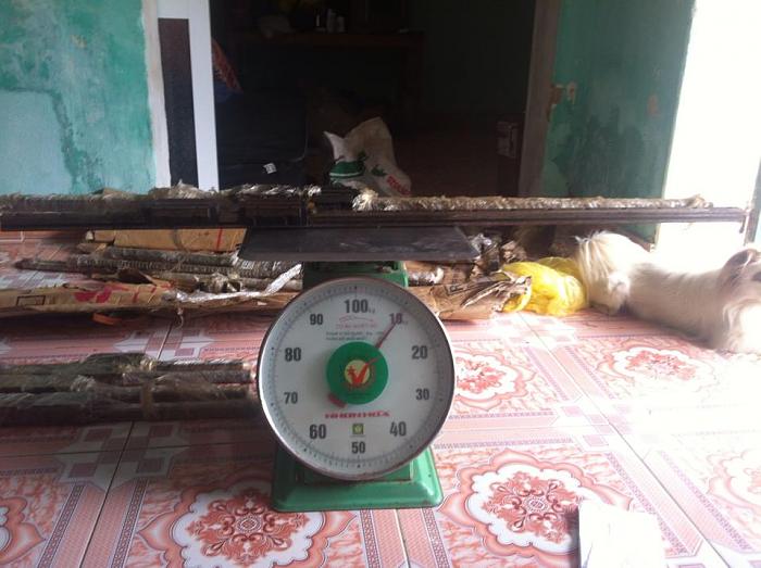 Click vào ảnh để xem ảnh lớn hơn. 

Name:	10.7kg.jpg 
Views:	0 
Size:	79.6 KB 
ID:	4304