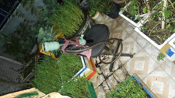 Click vào ảnh để xem ảnh lớn hơn. 

Name:	20170808_012529.jpg 
Views:	2 
Size:	815.4 KB 
ID:	44404