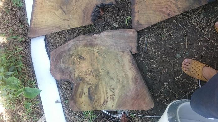 Click vào ảnh để xem ảnh lớn hơn. 

Name:	DSC_2868.JPG 
Views:	0 
Size:	389.6 KB 
ID:	57421