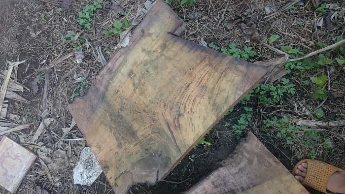 Click vào ảnh để xem ảnh lớn hơn. 

Name:	DSC_2871.JPG 
Views:	0 
Size:	479.4 KB 
ID:	57424