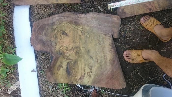 Click vào ảnh để xem ảnh lớn hơn. 

Name:	DSC_2874.JPG 
Views:	1 
Size:	365.7 KB 
ID:	57427