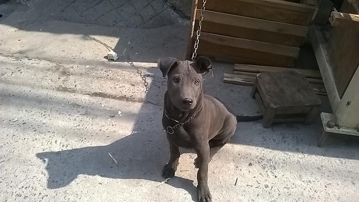 Click vào ảnh để xem ảnh lớn hơn. 
Name:	5.jpg 
Views:	6 
Size:	131.6 KB 
ID:	32212